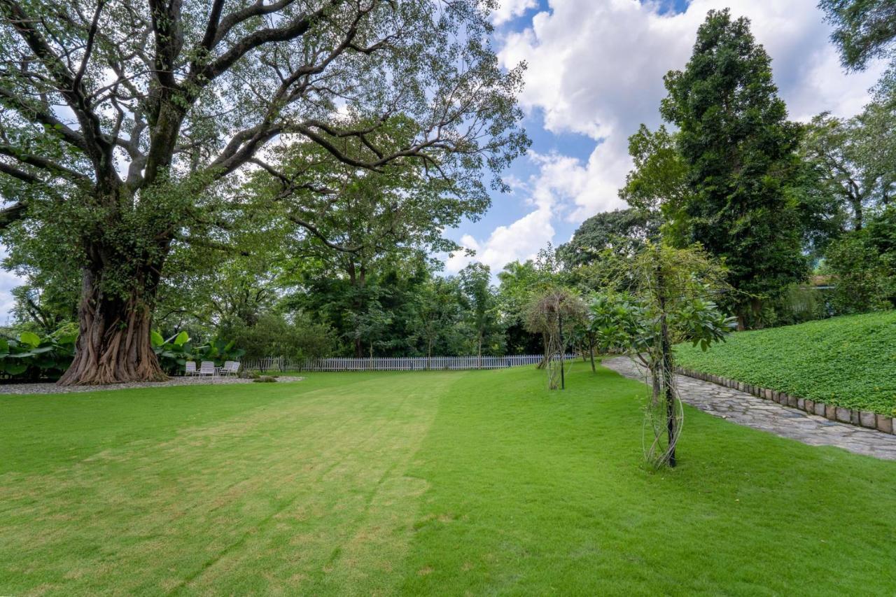 Lohonostays Ivy Cottage Dehradun Luaran gambar